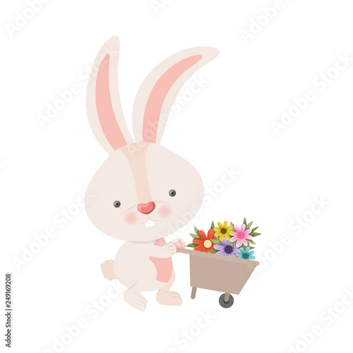 bunny with wheelbarrow and flowers isolated icon