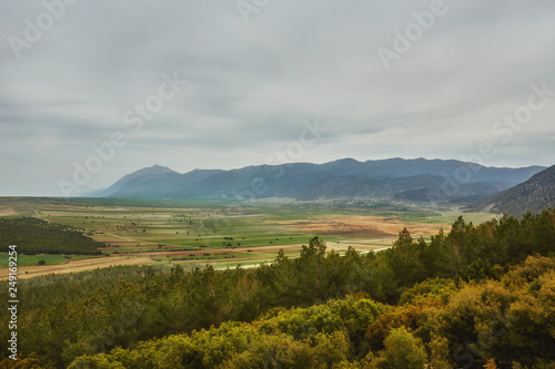 landscape with oranges and pomegranate garden and mountains.