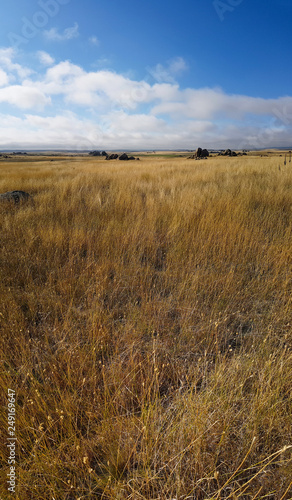 Landscape field with stones New South Wales. Australia scenery. Panoramic 