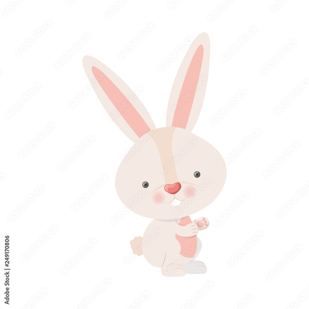 cute rabbit isolated icon cute rabbit isolated icon