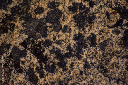 roca con manchas negras