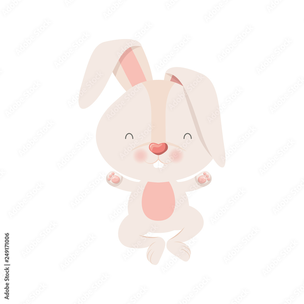 cute rabbit isolated icon cute rabbit isolated icon