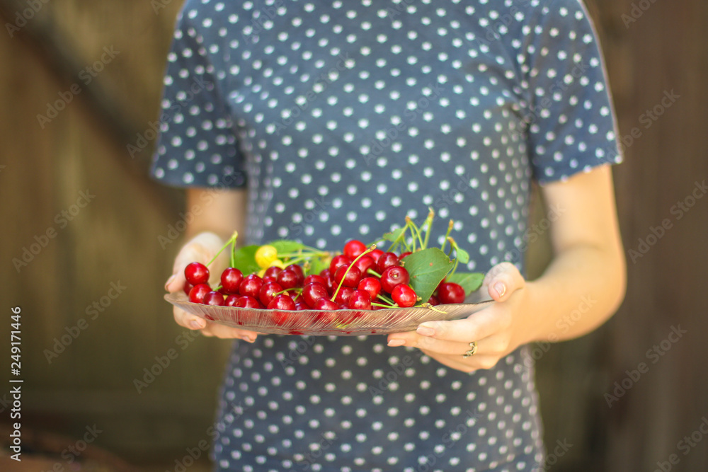 cherries, red and ripe crop. food background. top photo cherries, red and ripe crop. food background. top photo