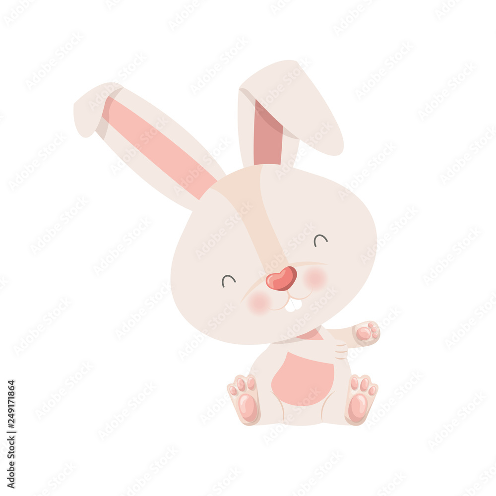 cute rabbit isolated icon cute rabbit isolated icon