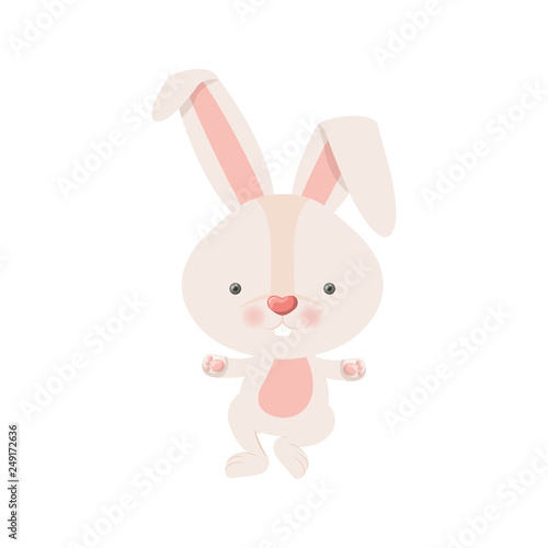 cute rabbit isolated icon