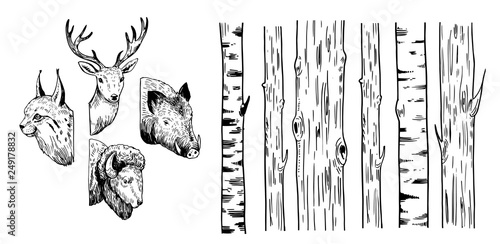 Sketches of trees and forest animals: lynx, deer, boar, bison.  Vector illustration.