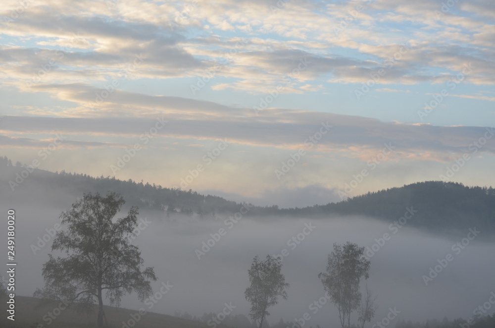 Fototapeta premium transbaikal territory