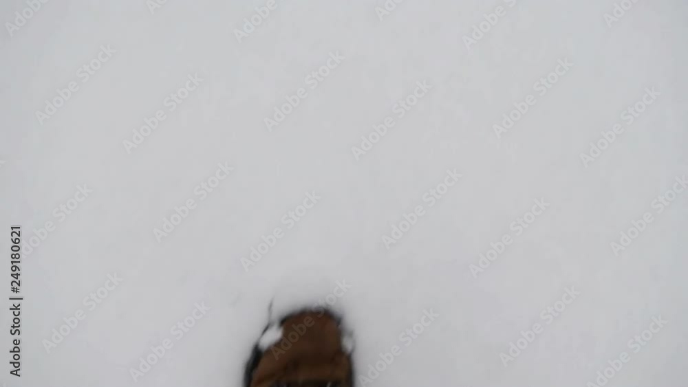 Downwards view on hiking boots walking in fresh white snow during a cold winter day. Downwards view on hiking boots walking in fresh white snow during a cold winter day.