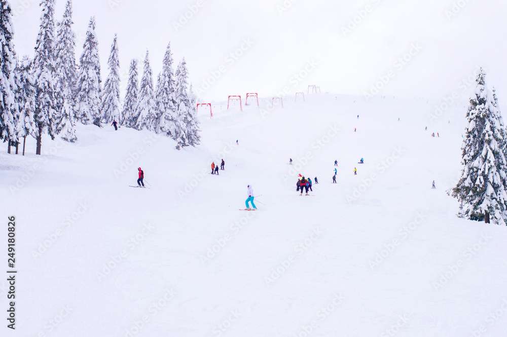 ski slope in the winter