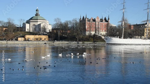 An early sunny spring day in Stockholm, birds and ice drifting on flow of meltwater photo
