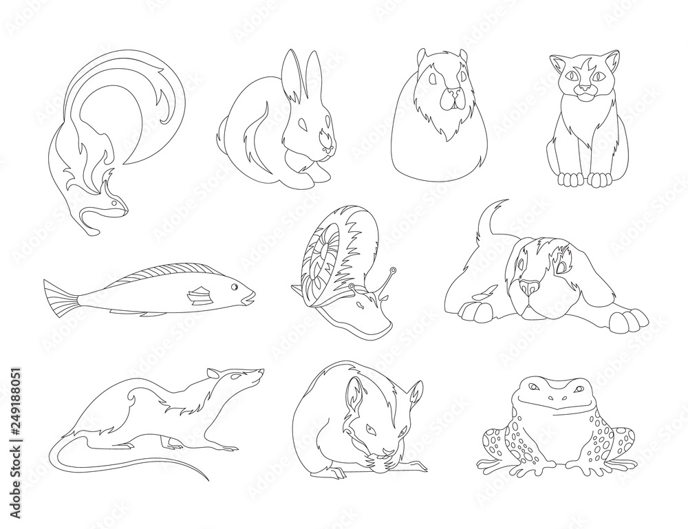 Vector outline set of pets. Collection of domestic animals. Black and white vector illustration for coloring book Stock Vector | Adobe Stock Vector outline set of pets. Collection of domestic animals. Black and white vector illustration for coloring book Stock Vector | Adobe Stock