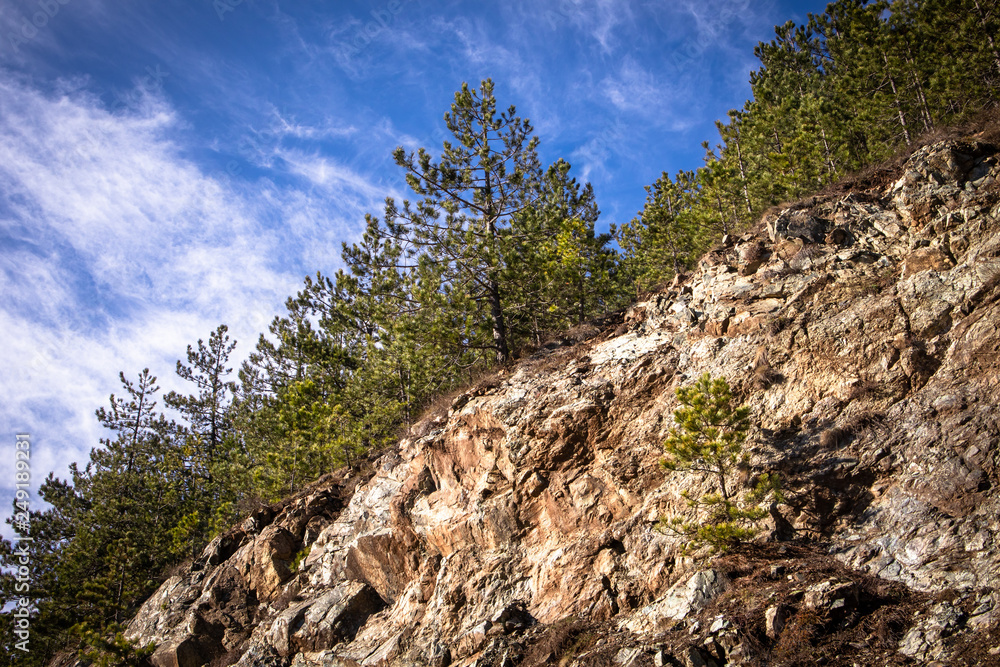 Sunny stone on mountain and green trees growing out of the rock Sunny stone on mountain and green trees growing out of the rock