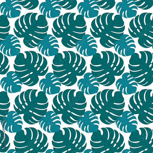 Large leaves of Monstera seamless tropical pattern. Botanical background