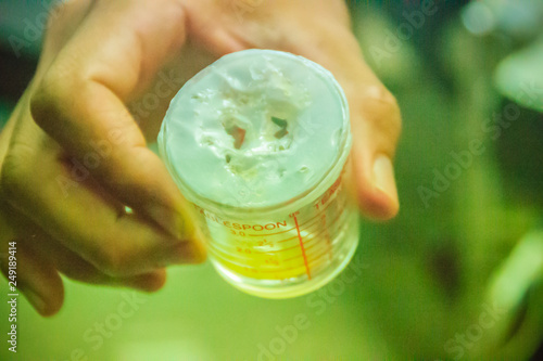 A beaker collects the milked green pit viper venom for produce snake antidote serum