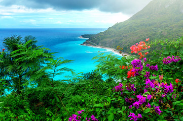 Fotobehang Groen delightful Caribbean landscape  © Sergey