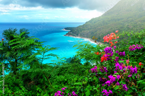 delightful Caribbean landscape