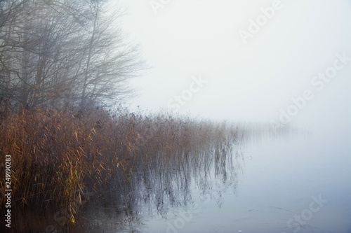 zamglone jezioro, jesienny poranek © VinyLove Foto
