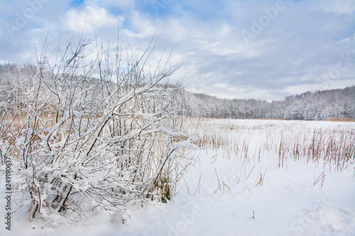 Fototapeta Naklejka Na Ścianę i Meble -  piękny zimowy krajobraz, jezioro
