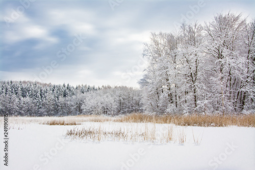 piękny zimowy krajobraz, jezioro