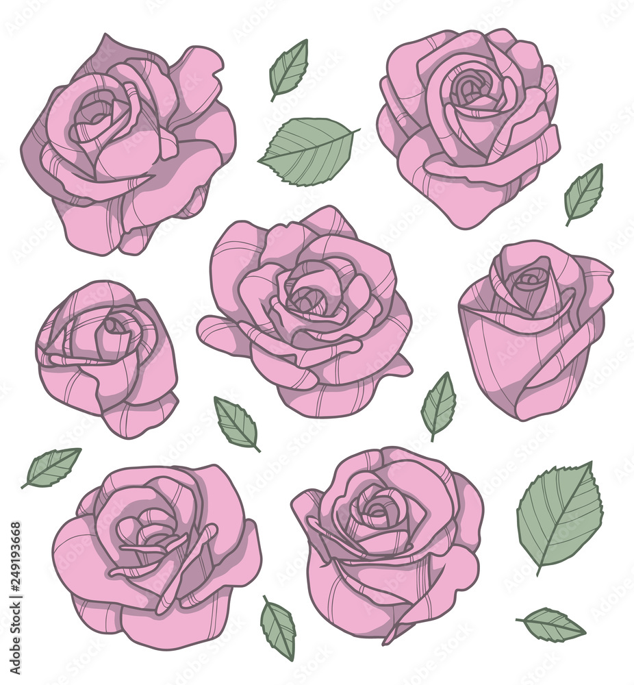 custom made wallpaper toronto digitalVector collection set of different pink roses with leaves drawings