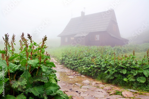 górska chata, mgła, Tatry photo