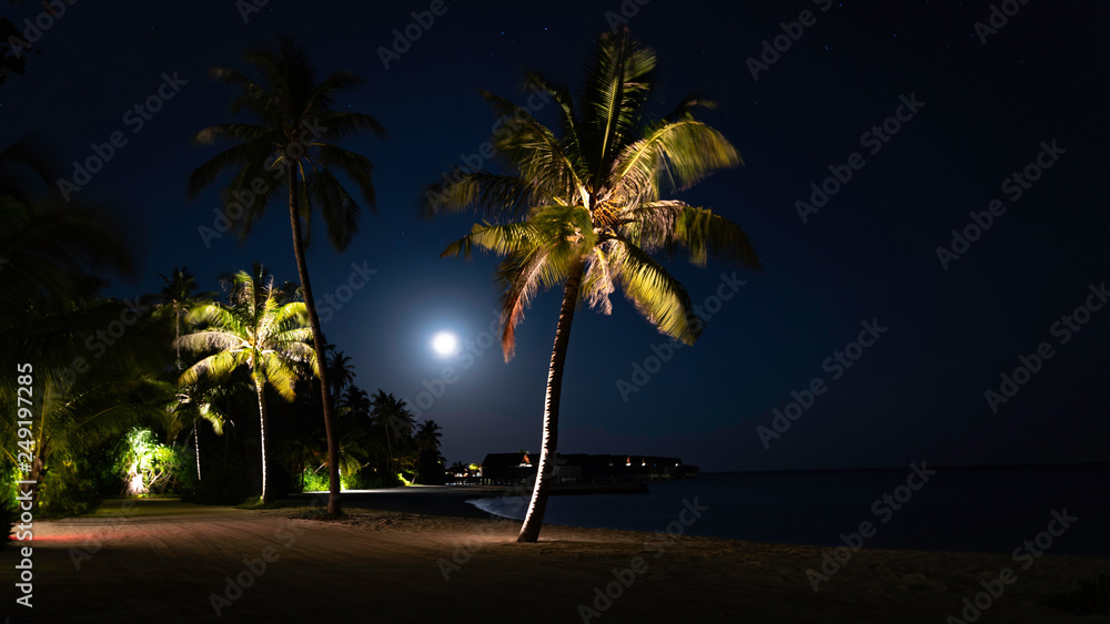 Fototapeta premium palm trees and full moon at night in the maldives