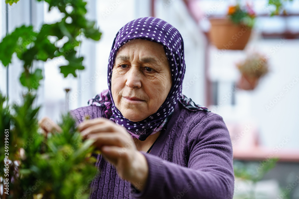 Portrait of mature woman gardening in greenhouse Portrait of mature woman gardening in greenhouse