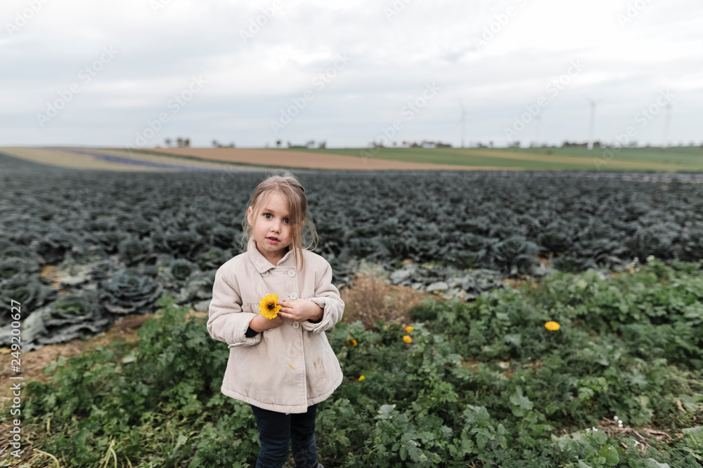 Portrait of a girl standing at a cabbage field holding a flower Portrait of a girl standing at a cabbage field holding a flower