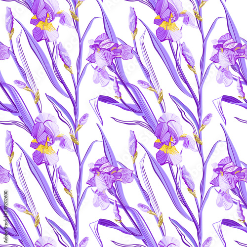 Fototapeta Naklejka Na Ścianę i Meble -  Floral pattern with iris flowers. Seamless vector pattern with colorful iris flowers.
