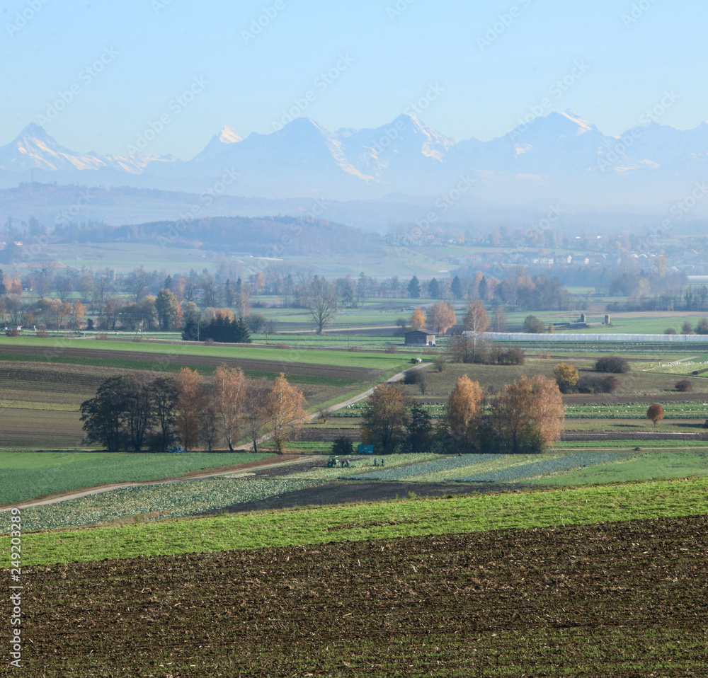Landscape With Mountain Range Landscape With Mountain Range