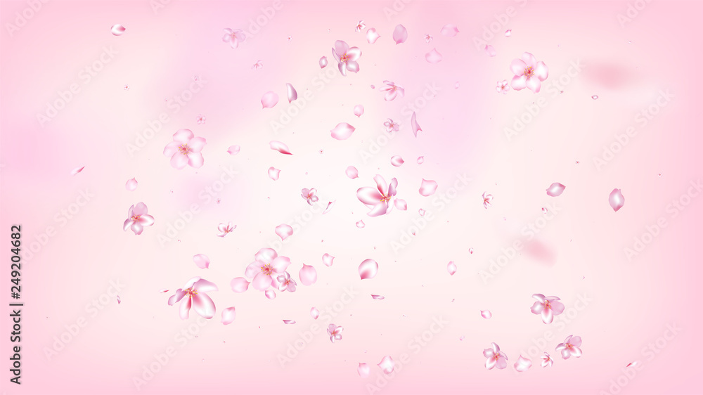 Nice Sakura Blossom Isolated Vector. Spring Blowing 3d Petals Wedding Texture. Japanese Blurred Flowers Illustration. Valentine, Mother's Day Feminine Nice Sakura Blossom Isolated on Rose