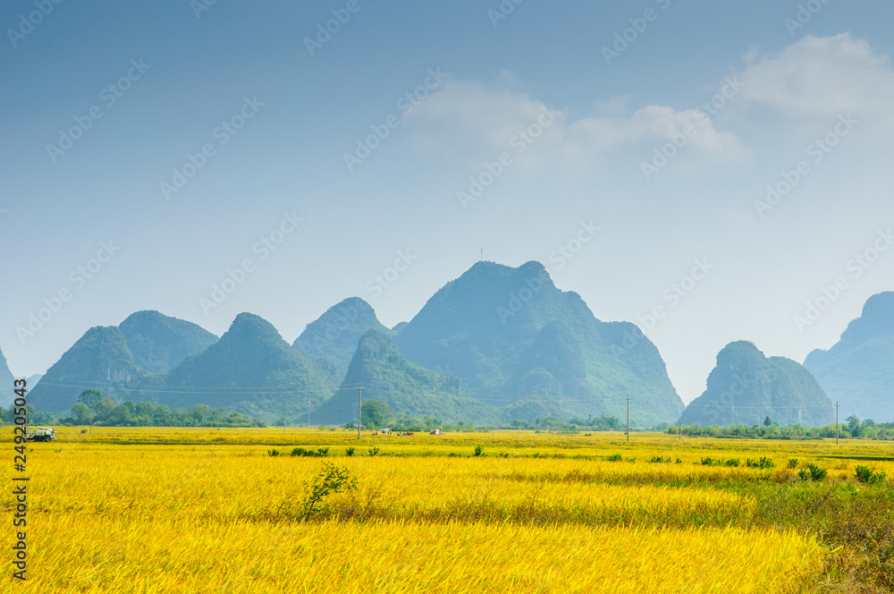 Rice fields and mountain scenery in autumn 