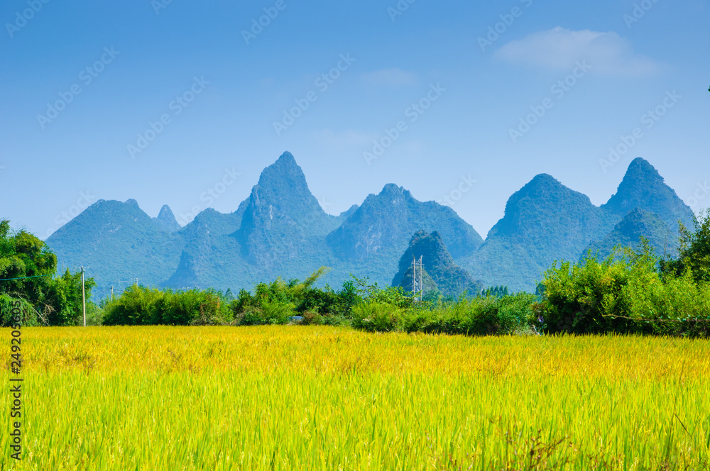 Rice field and mountain scenery in autumn 