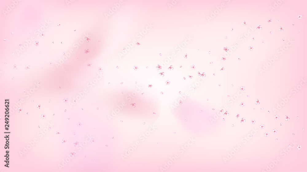 Nice Sakura Blossom Isolated Vector. Summer Falling 3d Petals Wedding Texture. Japanese Blooming Flowers Illustration. Valentine, Mother's Day Spring Nice Sakura Blossom Isolated on Rose Nice Sakura Blossom Isolated Vector. Summer Falling 3d Petals Wedding Texture. Japanese Blooming Flowers Illustration. Valentine, Mother's Day Spring Nice Sakura Blossom Isolated on Rose