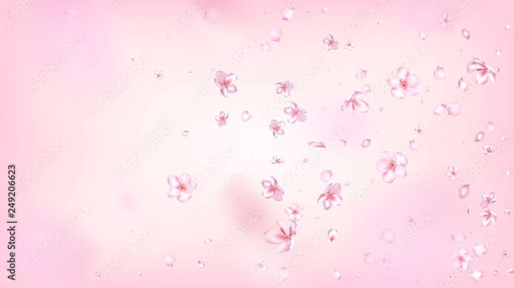 Nice Sakura Blossom Isolated Vector. Feminine Blowing 3d Petals Wedding Texture. Japanese Bokeh Flowers Wallpaper. Valentine, Mother's Day Realistic Nice Sakura Blossom Isolated on Rose