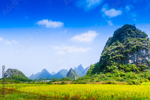 Rice field and mountain scenery in autumn 