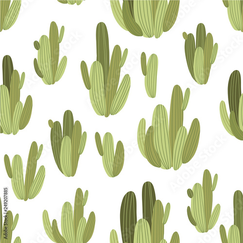 botanical illustration with Peruvian cactus. Vector seamless pattern on white background. Summer plants.