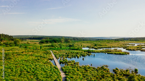 Bilde på lerret Moor Landschaft als Panorama im Hohes Venn mit See, Bäumen und einem Trampelpfad