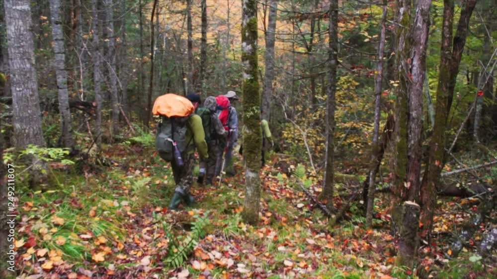Tourists walk along path through the Sikhote-Alin Nature Reserve forest. Russia Tourists walk along path through the Sikhote-Alin Nature Reserve forest. Russia