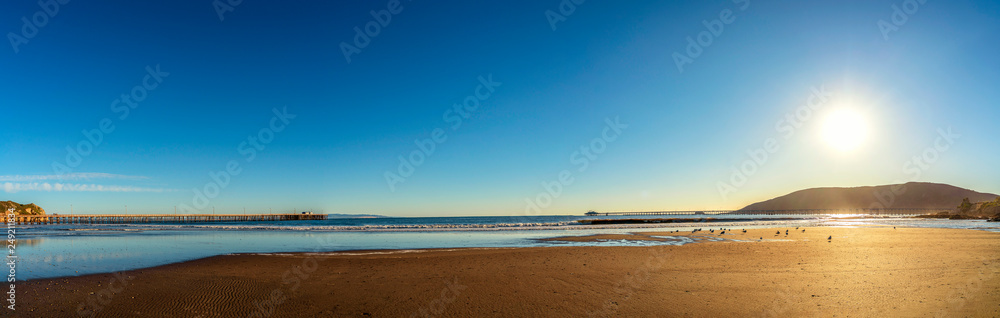 Panorama of Beach in the Afternoon Sun