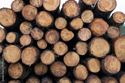 close-up of a pile of wooden logs