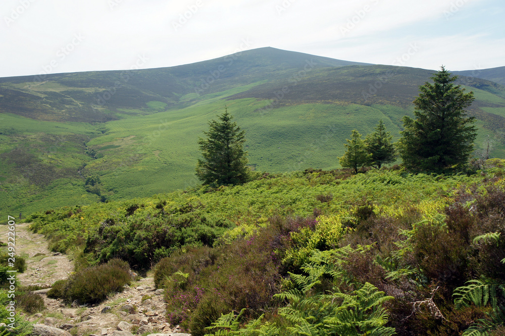 Obraz premium Landscapes of Wicklow Mountain.Ireland.