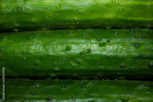 cucumber  background