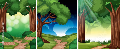 Set of tropical rainforest background