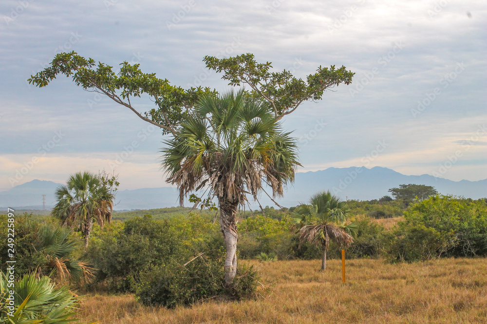 Obraz premium Creciendo juntos 