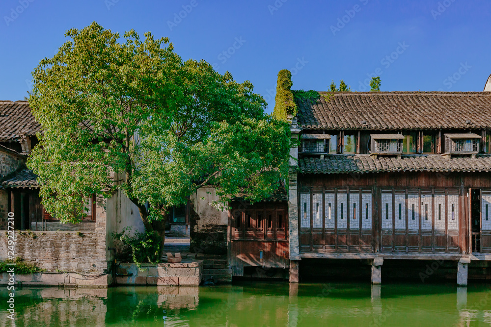 Traditional Chinese houses and trees by water, in the old town of Wuzhen, China Traditional Chinese houses and trees by water, in the old town of Wuzhen, China