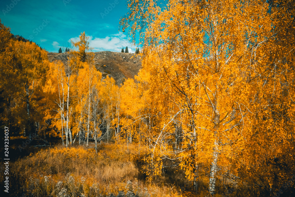 Fototapeta premium Asian Xinjiang scenery