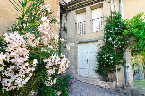 The street in the town of Gordes with flowers in the foreground, Provence, France