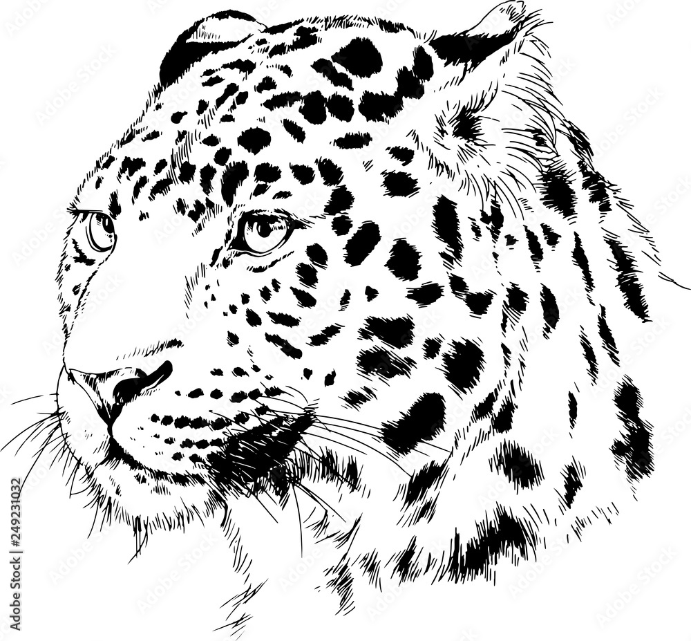 Share more than 100 cheetah face tattoo latest
