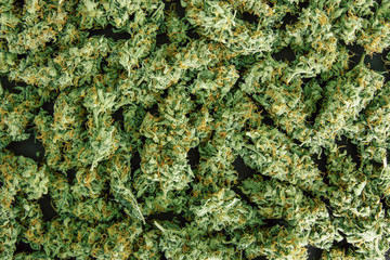 top view copy spase close up flower buds cannabis Background, marijuana, weed